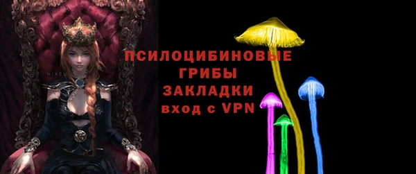 PSILOCYBIN Алексин