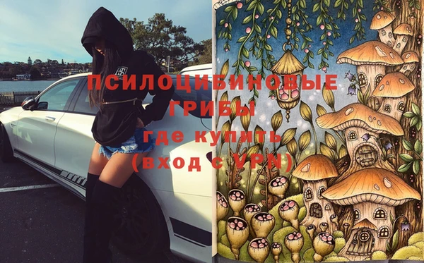 PSILOCYBIN Алексин
