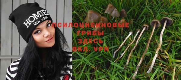 PSILOCYBIN Алексин
