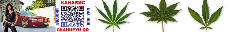 наркота  Дубна  Шишки марихуана White Widow 